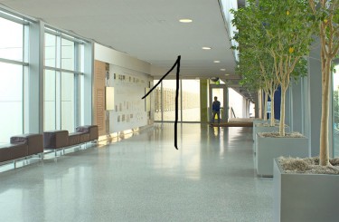 מלון דירות אוקיינוס במרינה - דירות נופש על הים