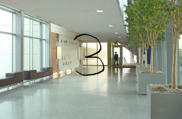 מלון דירות אוקיינוס במרינה - דירות נופש על הים