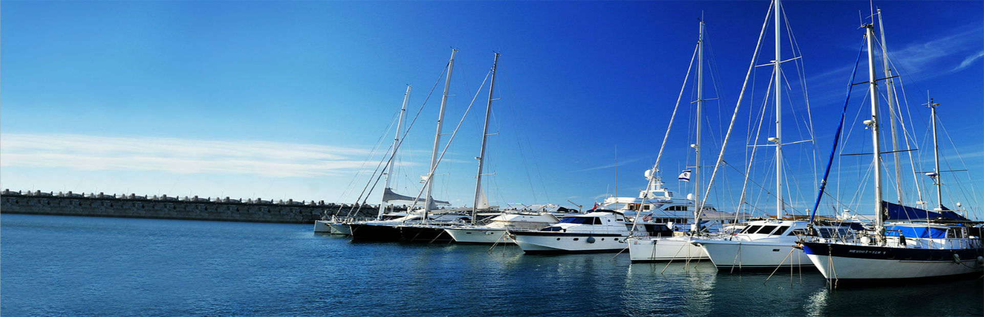 גלריה לדוגמה